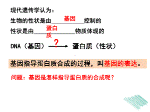 4.1基因指导蛋白质的合成 ppt课件(3)-2023新人教版（2019）《高中生物》必修第二册.pptx