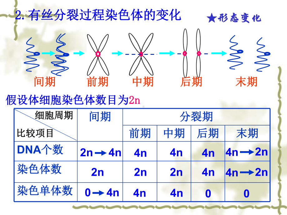 2.1减数分裂和受精作用 ppt课件(2)-2023新人教版（2019）《高中生物》必修第二册.pptx_第3页