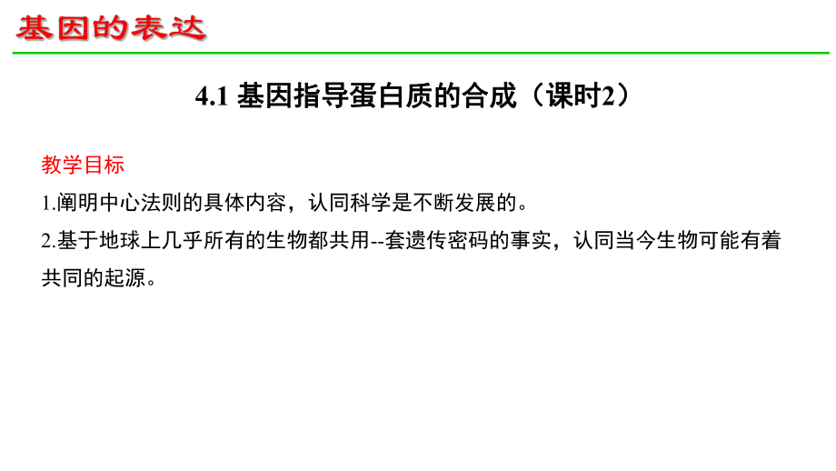 4.1基因指导蛋白质的合成（第2课时） ppt课件-2023新人教版（2019）《高中生物》必修第二册.pptx_第1页