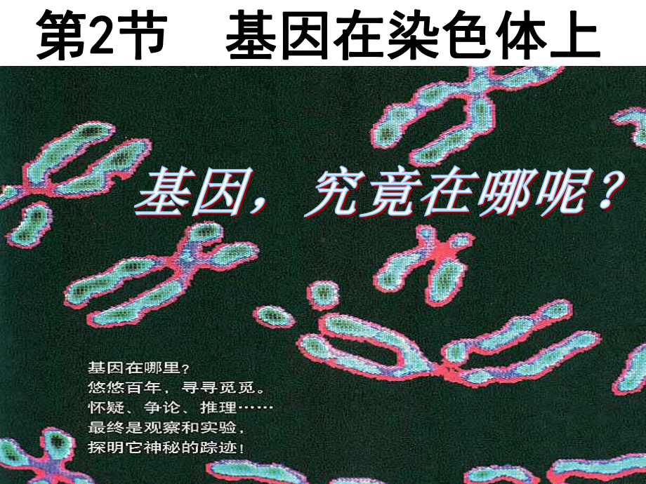 2.2基因在染色体上 ppt课件(4)-2023新人教版（2019）《高中生物》必修第二册.pptx_第1页