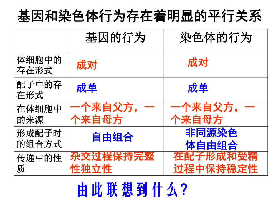 2.2基因在染色体上 ppt课件(4)-2023新人教版（2019）《高中生物》必修第二册.pptx_第3页