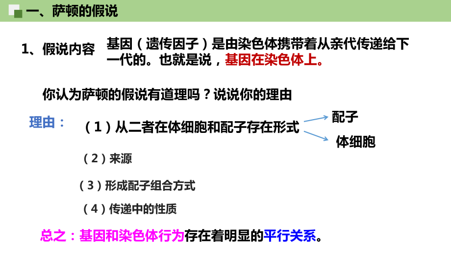 2.2基因在染色体上 ppt课件（0002）(3)-2023新人教版（2019）《高中生物》必修第二册.pptx_第3页