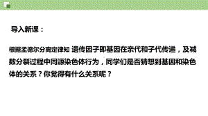 2.2基因在染色体上 ppt课件（0002）(3)-2023新人教版（2019）《高中生物》必修第二册.pptx