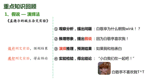 2.2 基因在染色体上 ppt课件(6)-2023新人教版（2019）《高中生物》必修第二册.pptx