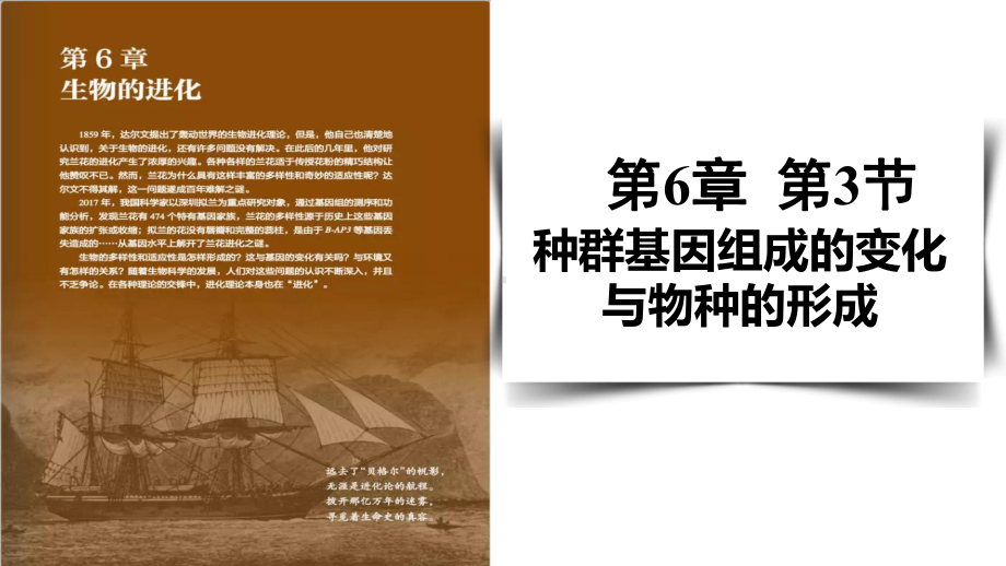 6.3种群基因组成的变化与物种的形成 ppt课件(6)-2023新人教版（2019）《高中生物》必修第二册.pptx_第1页