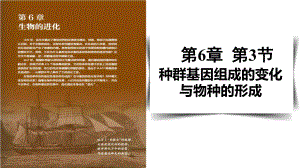 6.3种群基因组成的变化与物种的形成 ppt课件(6)-2023新人教版（2019）《高中生物》必修第二册.pptx