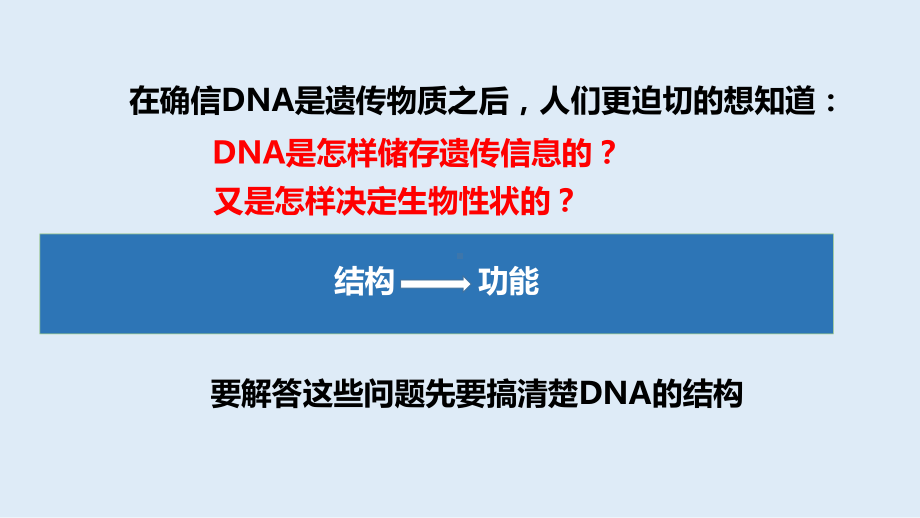 3.2DNA的结构 ppt课件（0002）(7)-2023新人教版（2019）《高中生物》必修第二册.pptx_第3页