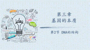 3.2DNA的结构 ppt课件（0002）(7)-2023新人教版（2019）《高中生物》必修第二册.pptx