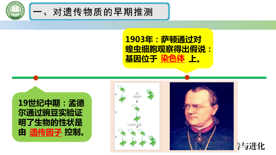 3.1DNA是主要的遗传物质 第1课时 肺炎链球菌的转化实验 ppt课件-2023新人教版（2019）《高中生物》必修第二册.pptx_第3页