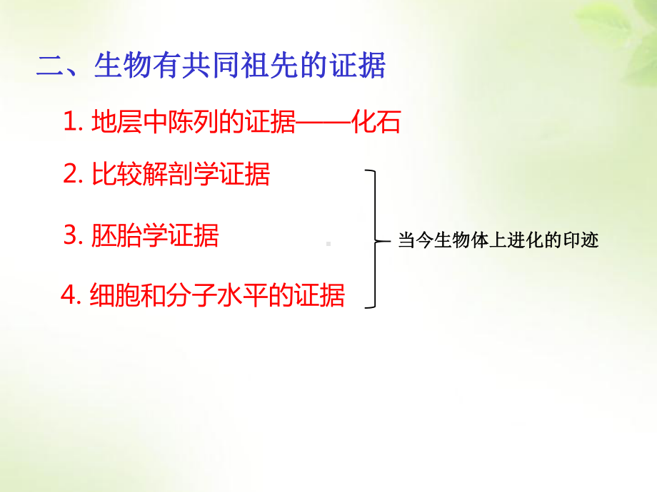 第6章第1节 生物有共同祖先的证据ppt课件-2023新人教版（2019）《高中生物》必修第二册.pptx_第3页