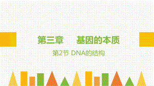 3.2 DNA的结构 ppt课件(1)-2023新人教版（2019）《高中生物》必修第二册.pptx