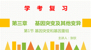 学考复习 ppt课件 基因突变与基因重组-2023新人教版（2019）《高中生物》必修第二册.pptx