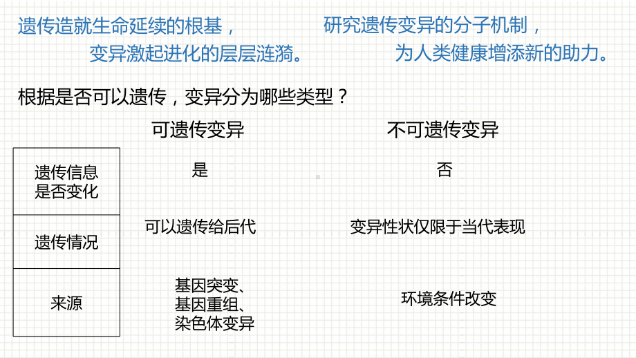 学考复习 ppt课件 基因突变与基因重组-2023新人教版（2019）《高中生物》必修第二册.pptx_第2页