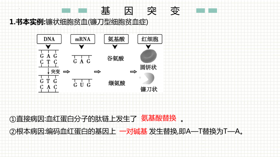 学考复习 ppt课件 基因突变与基因重组-2023新人教版（2019）《高中生物》必修第二册.pptx_第3页