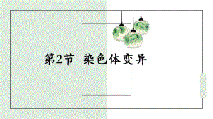 5.2染色体变异 ppt课件(8)-2023新人教版（2019）《高中生物》必修第二册.pptx