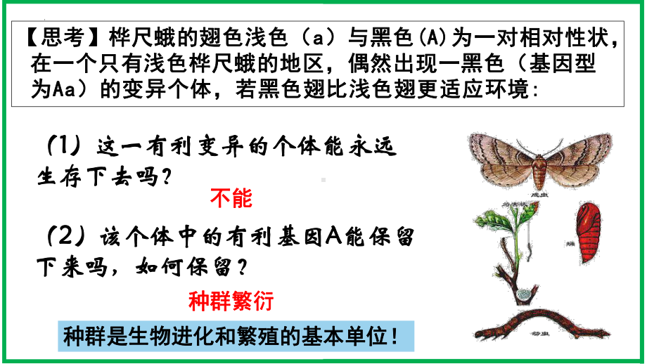 6.3 种群基因组成的变化与物种的形成 ppt课件(2)-2023新人教版（2019）《高中生物》必修第二册.pptx_第3页