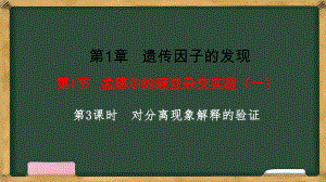 1.1孟德尔的豌豆杂交实验（一） 第3课时 ppt课件-2023新人教版（2019）《高中生物》必修第二册.pptx