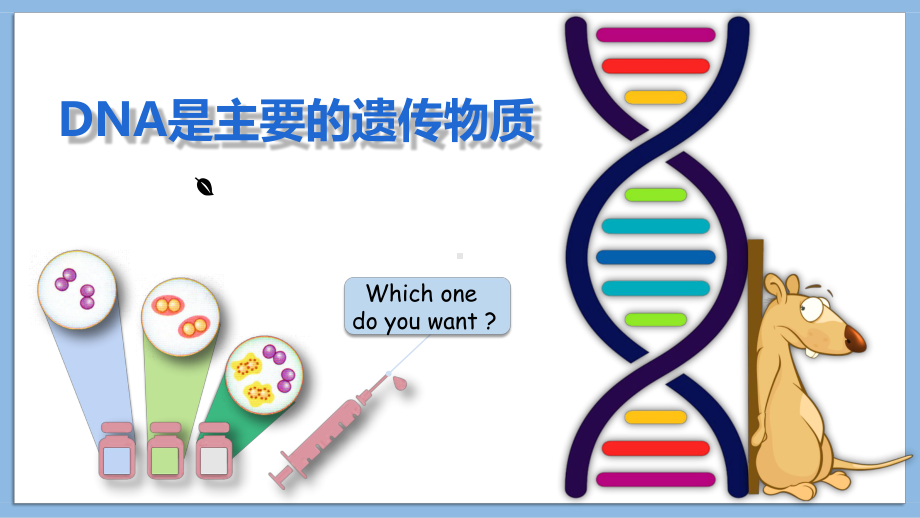 3.1DNA是主要的遗传物质 ppt课件(4)-2023新人教版（2019）《高中生物》必修第二册.pptx_第1页