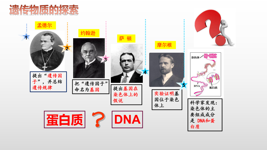 3.1DNA是主要的遗传物质 ppt课件(4)-2023新人教版（2019）《高中生物》必修第二册.pptx_第2页