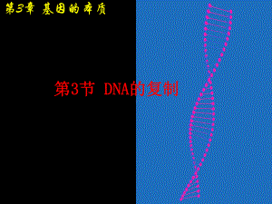 3.3DNA的复制 ppt课件(10)-2023新人教版（2019）《高中生物》必修第二册.pptx