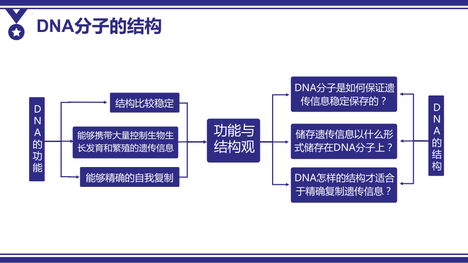 3.2 DNA的结构 ppt课件(3)-2023新人教版（2019）《高中生物》必修第二册.pptx_第2页