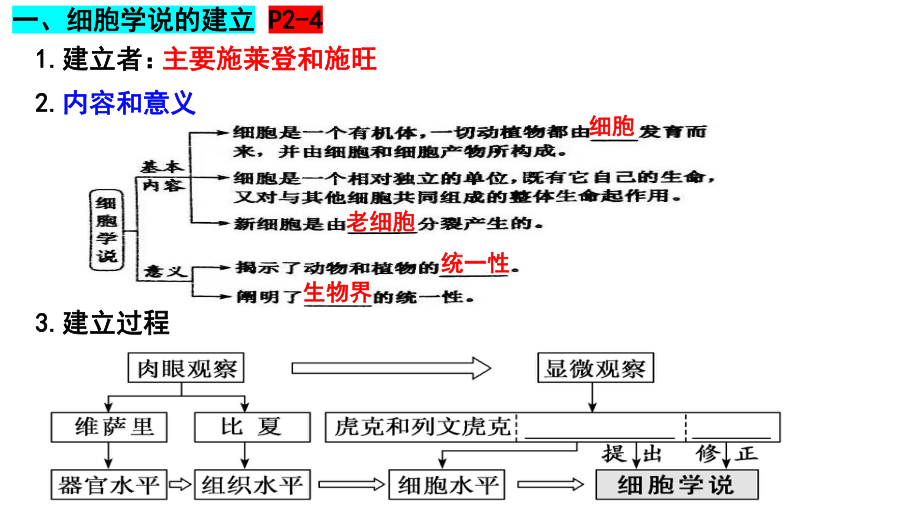 生物一轮复习 ppt课件：第1讲走近细胞-2023新人教版（2019）《高中生物》必修第二册.pptx_第2页