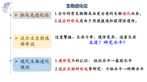 6.3种群基因组成的变化与物种的形成 ppt课件--2023新人教版（2019）《高中生物》必修第二册.pptx