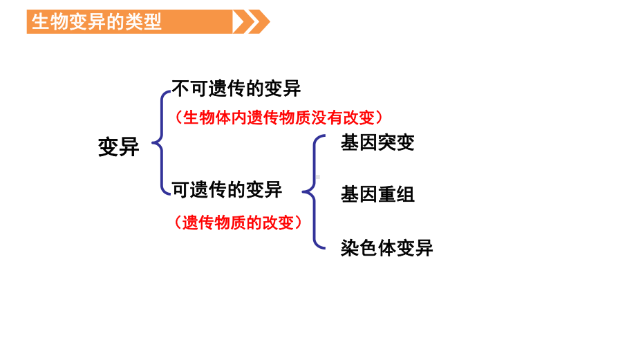 5.2染色体变异 ppt课件（0002）(3)-2023新人教版（2019）《高中生物》必修第二册.pptx_第2页