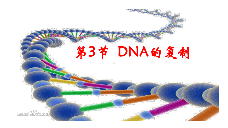 3.3DNA的复制 ppt课件（0002）(3)-2023新人教版（2019）《高中生物》必修第二册.pptx_第2页