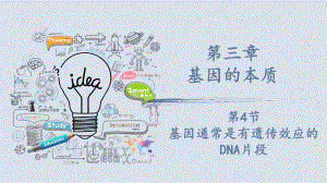 3.4基因通常是有遗传效应的DNA片段 ppt课件(8)-2023新人教版（2019）《高中生物》必修第二册.pptx