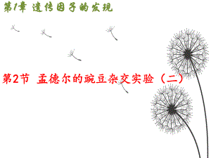 1.2孟德尔的豌豆杂交实验（二） ppt课件(7)-2023新人教版（2019）《高中生物》必修第二册.pptx