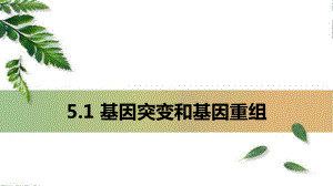 5.1 基因突变和基因重组 ppt课件(4)-2023新人教版（2019）《高中生物》必修第二册.pptx