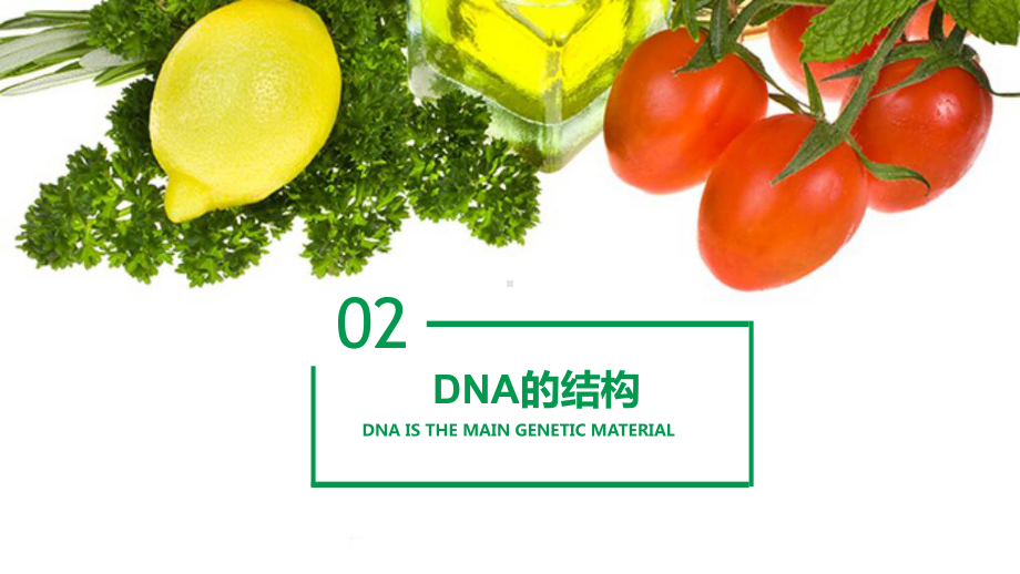 3.2DNA的结构 ppt课件（0002）(2)-2023新人教版（2019）《高中生物》必修第二册.pptx_第2页