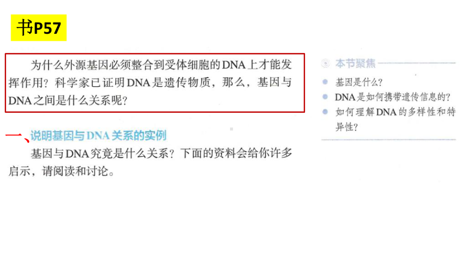 3.4基因通常是有遗传效应的DNA片段 ppt课件(4)-2023新人教版（2019）《高中生物》必修第二册.pptx_第2页