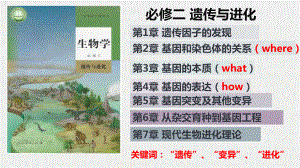 1.1孟德尔的豌豆杂交实验（一） ppt课件(11)-2023新人教版（2019）《高中生物》必修第二册.pptx