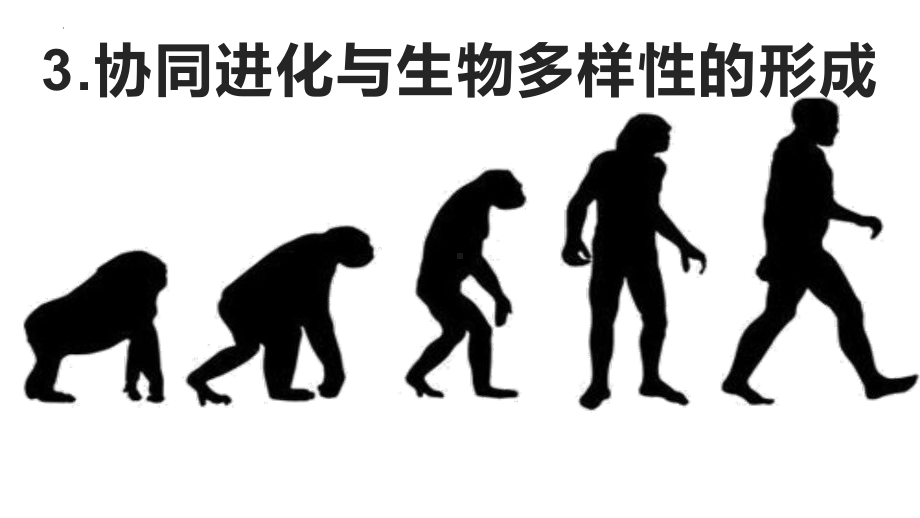 6.4协同进化与生物多样性的形成 ppt课件(1)-2023新人教版（2019）《高中生物》必修第二册.pptx_第1页