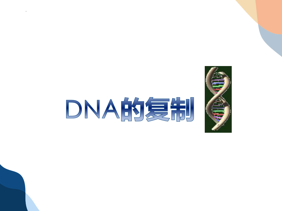 3.3DNA分子的复制 ppt课件 -2023新人教版（2019）《高中生物》必修第二册.pptx_第2页