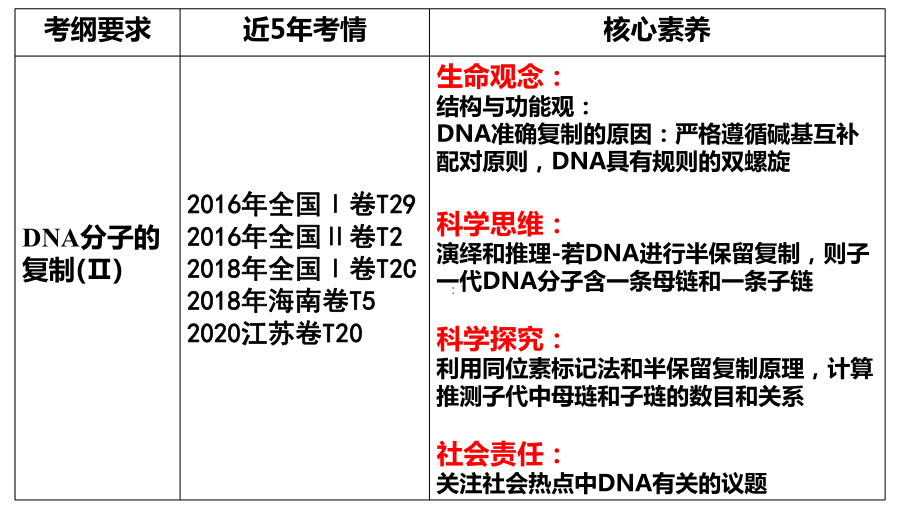 3.3DNA的复制 ppt课件(8)-2023新人教版（2019）《高中生物》必修第二册.pptx_第2页