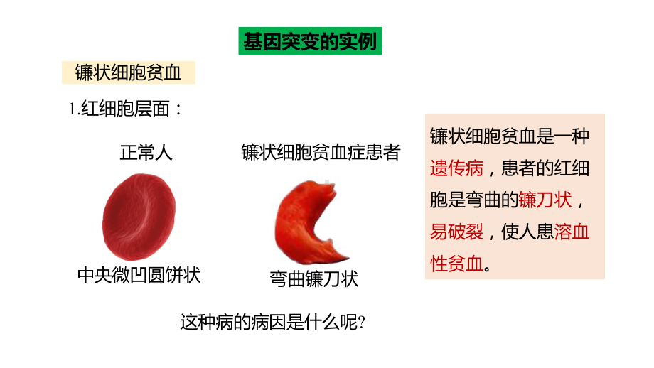 5.1 基因突变和基因重组 ppt课件(3)-2023新人教版（2019）《高中生物》必修第二册.pptx_第3页