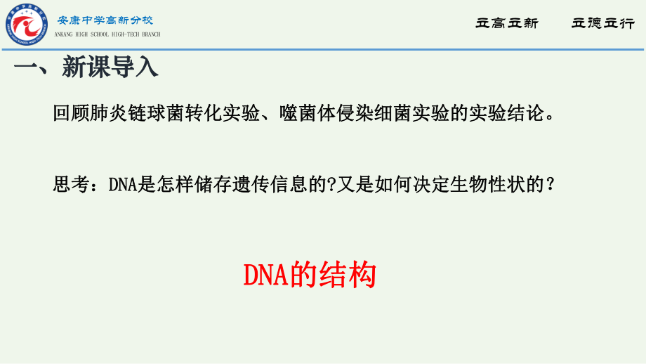 3.2DNA的结构 ppt课件（0002）-2023新人教版（2019）《高中生物》必修第二册.pptx_第3页