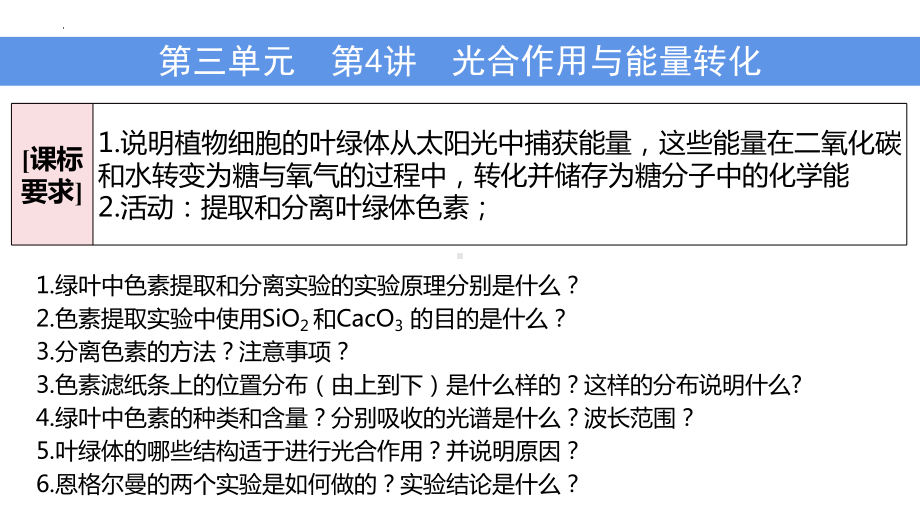 生物一轮复习 ppt课件： 第4讲 光合作用与能量转化-2023新人教版（2019）《高中生物》必修第二册.pptx_第1页