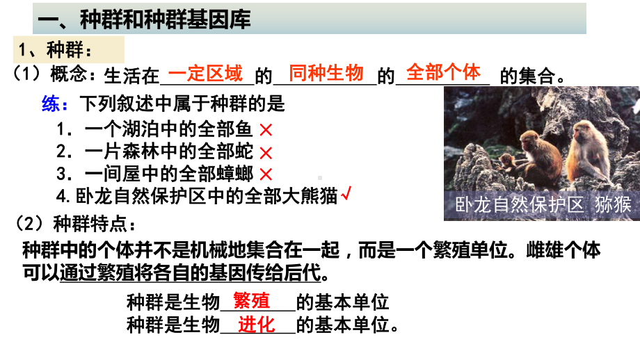 6.3 种群基因组成的变化与物种的形成 ppt课件(3)-2023新人教版（2019）《高中生物》必修第二册.pptx_第3页