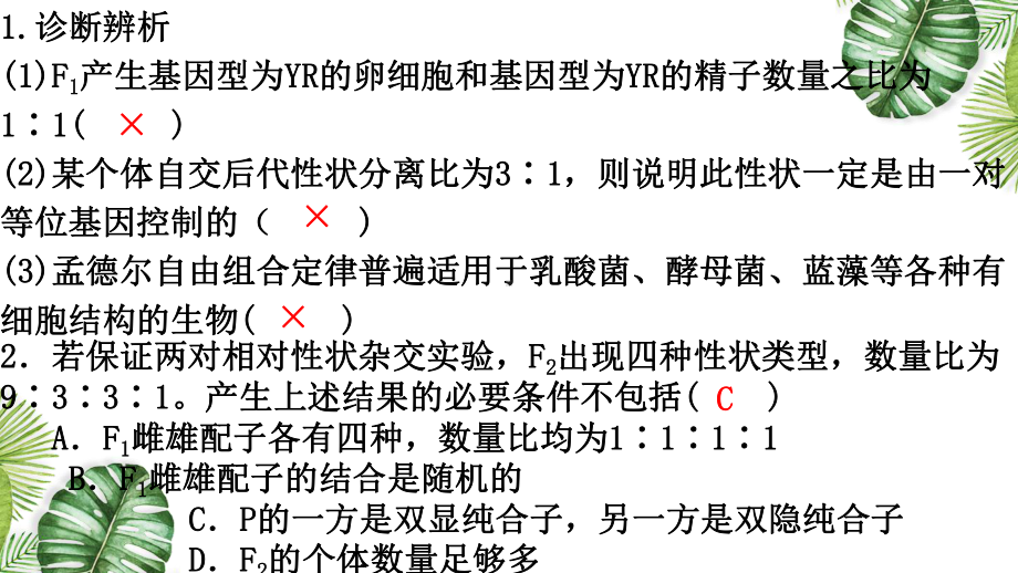 1.2.2孟德尔的豌豆杂交实验（二） ppt课件(1)-2023新人教版（2019）《高中生物》必修第二册.pptx_第2页