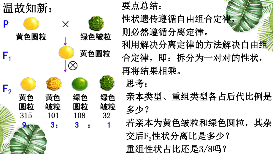 1.2.2孟德尔的豌豆杂交实验（二） ppt课件(1)-2023新人教版（2019）《高中生物》必修第二册.pptx_第3页