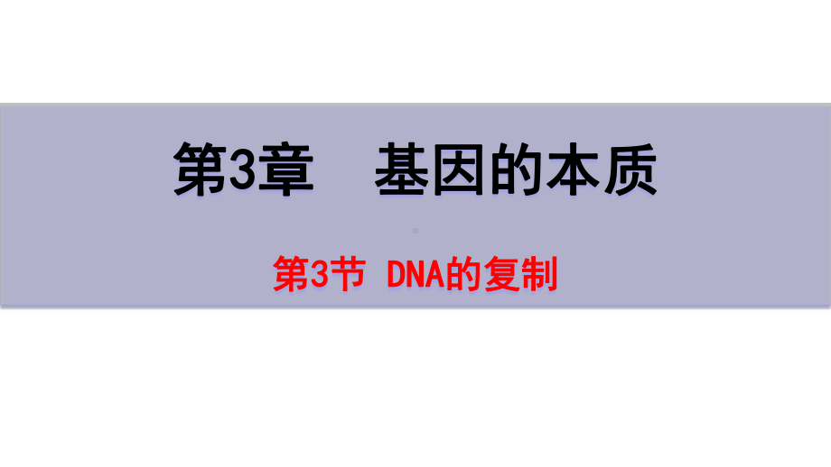 3.3DNA的复制 ppt课件（0002）(1)-2023新人教版（2019）《高中生物》必修第二册.pptx_第1页