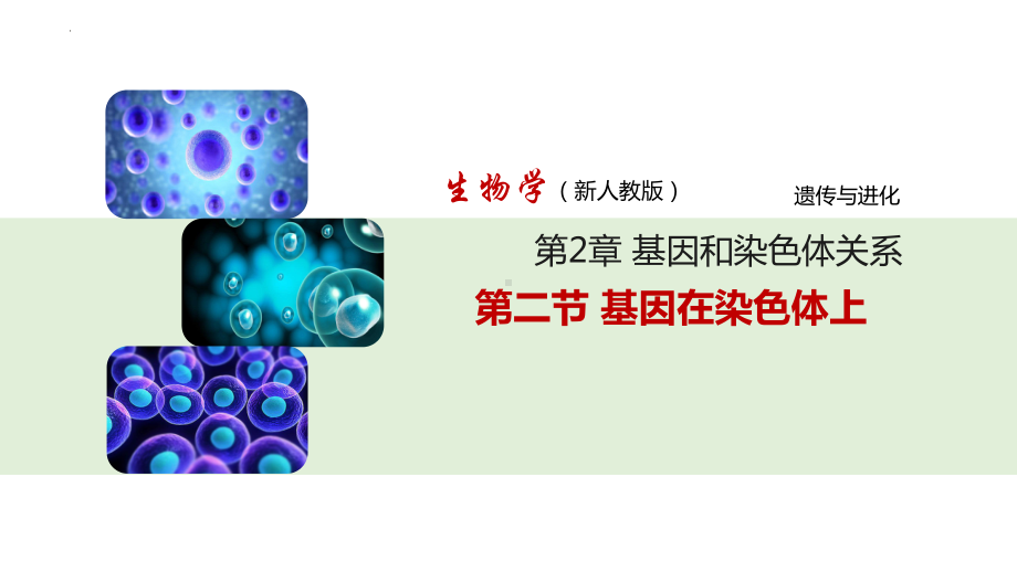 2.2 基因在染色体上 ppt课件(2)-2023新人教版（2019）《高中生物》必修第二册.pptx_第1页