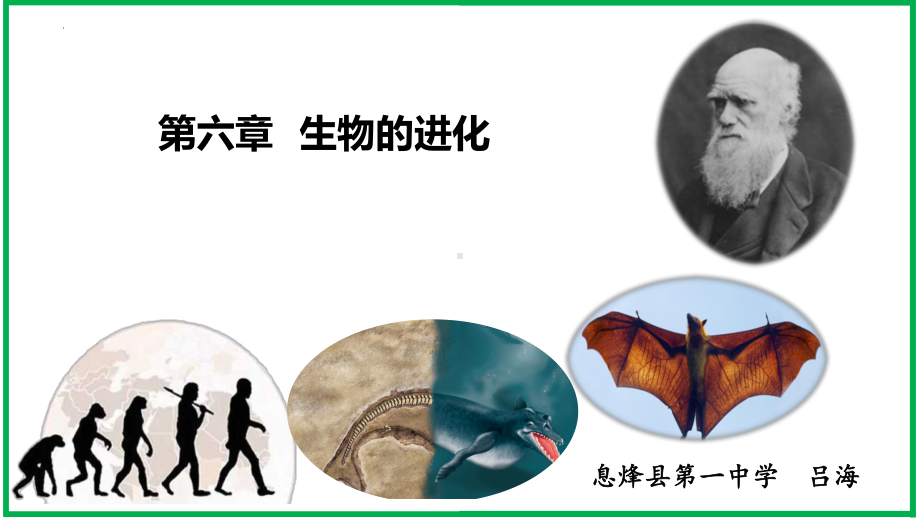 6.1生物有共同祖先的证据 ppt课件--2023新人教版（2019）《高中生物》必修第二册.pptx_第1页