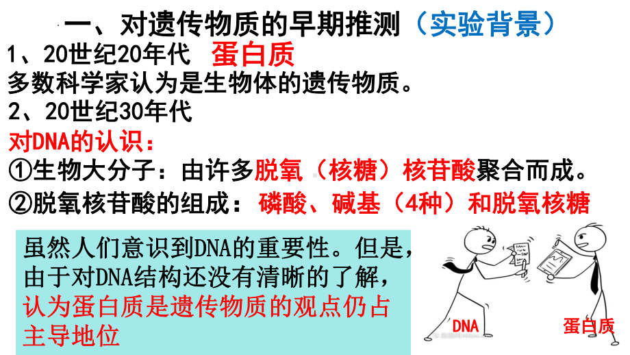 3.1DNA是主要的遗传物质 ppt课件(2)-2023新人教版（2019）《高中生物》必修第二册.pptx_第3页