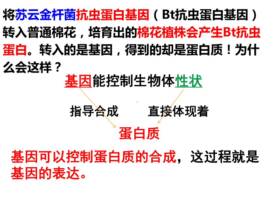 4.1 基因指导蛋白质合成 ppt课件-2023新人教版（2019）《高中生物》必修第二册.pptx_第1页