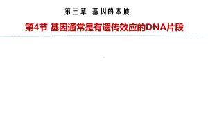 3.4 基因通常是有遗传效应的DNA片段 ppt课件-2023新人教版（2019）《高中生物》必修第二册.pptx